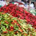 cabai rawit merah