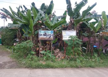 SDN Sukaluyu 2 Bogor Tagih Janji Pembangunan Pagar Sekolah