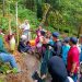 Bunga Bangkai Raksasa Kembali Mekar Sempurna di Kebun Raya Bogor