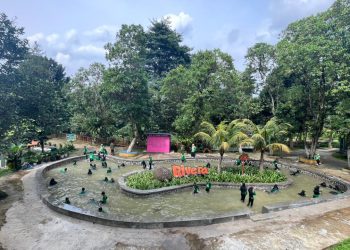 Liburan Seru Rame-Rame di Rivera Bogor: Ada Paket Hemat Berempat dan Berenam!