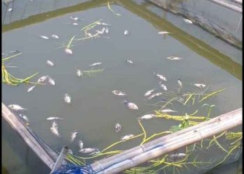 Situ Citongtut Tercemar, DLH Ancam Segel Saluran Limbah Industri