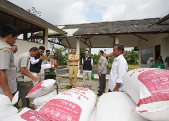 Bulog Serap Gabah dari Lahan Produktivitas Polbangtan Kementan, Perkuat Ketahanan Pangan Nasional