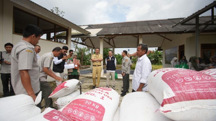 Bulog Serap Gabah dari Lahan Produktivitas Polbangtan Kementan, Perkuat Ketahanan Pangan Nasional