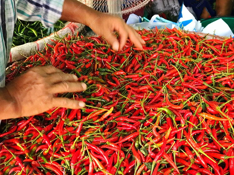 Harga cabai rawit