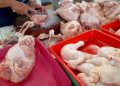 Harga daging ayam