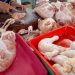 Harga daging ayam