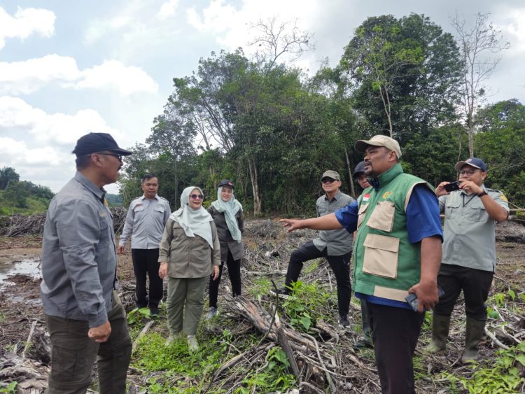 Survei Lokasi Cetak Sawah Rakyat di Batanghari Berlanjut, Desa Singkawang Dinilai Strategis Dukung Ketahanan Pangan