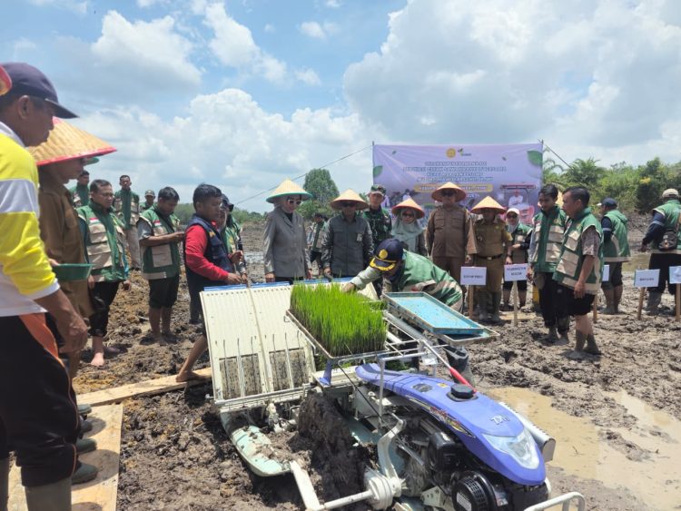 Polbangtan Bogor Perkuat Transformasi Pertanian Modern Melalui Gerakan Tanam Padi Bersama BPPSDMP di Jambi