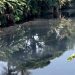 air Sungai Cidurian
