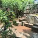 Tionghoa