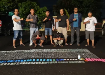 peredaran obat keras ilegal