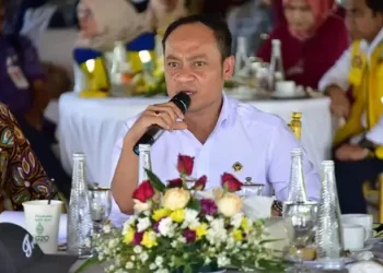 Haerul Saleh