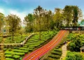 Agrowisata PTPN I Regional 2
