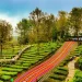 Agrowisata PTPN I Regional 2