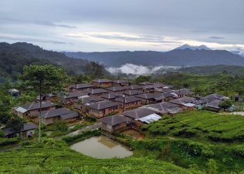 paripurna