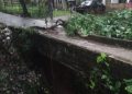 Jembatan Penghubung Antar Kampung Amblas