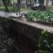 Jembatan Penghubung Antar Kampung Amblas