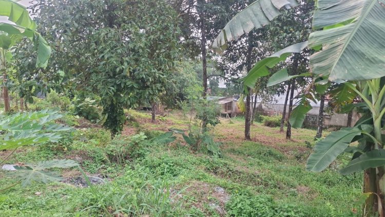 Perumahan bukit sakinah