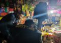 Gempur Rokok Ilegal, Bea Cukai Jawa Barat Amankan 2 Juta Batang Lewat Operasi Maung Padjajaran