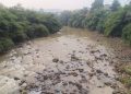 Sungai Cianten Hidupi Ratusan Ribu Jiwa, Air Sungai Sering Keruh Akibat Longsor