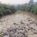 Sungai Cianten Hidupi Ratusan Ribu Jiwa, Air Sungai Sering Keruh Akibat Longsor