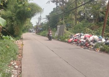 Sampah Menumpuk, DLH Minta Pemdes Tingkatkan Koordinasi
