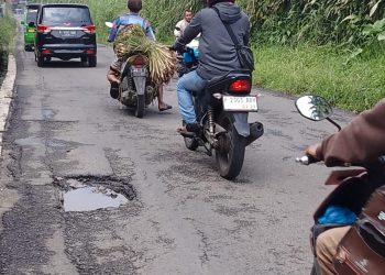 Jalan Menuju Wisata Ciapus–Tamansari Rusak Parah, Wisatawan dan Warga Keluhkan Lubang Jalan