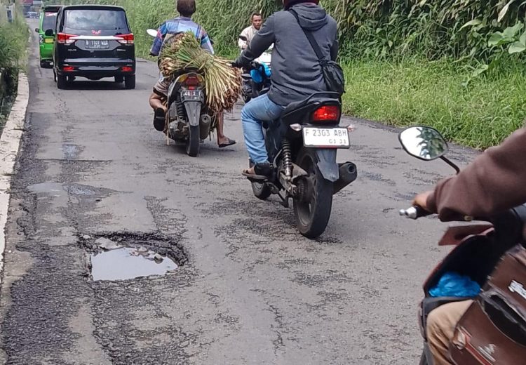Jalan Menuju Wisata Ciapus–Tamansari Rusak Parah, Wisatawan dan Warga Keluhkan Lubang Jalan