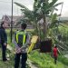 Kereta Api Argo Bromo Anggrek