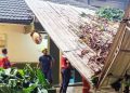 Dahan Pohon Kenari