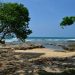 Pantai Sawarna