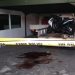 Polisi selidiki kasus pembacokan