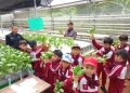 Agroeduwisata Polbangtan Bogor Kenalkan Pertanian Sejak Dini kepada Siswa SDIT Insantama Bogor