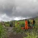 erupsi Gunung Dukono