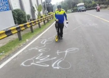 pikap bermuatan sayuran