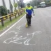 pikap bermuatan sayuran