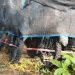 Motor Listrik EMMO