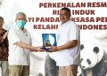 bayi giant panda