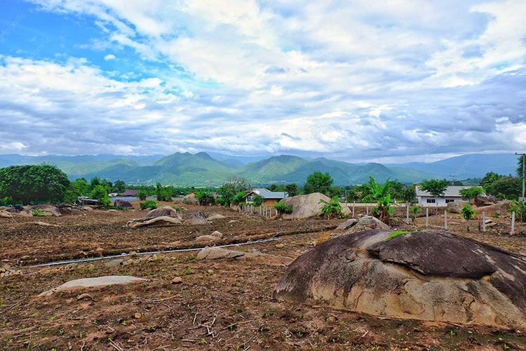 Kemarau
