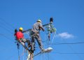 PLN