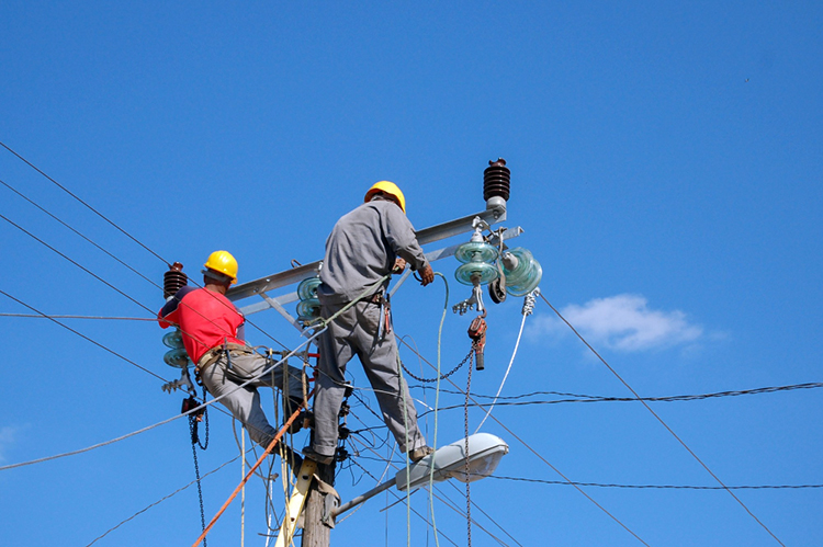 PLN