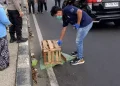 Penemuan jasad bayi