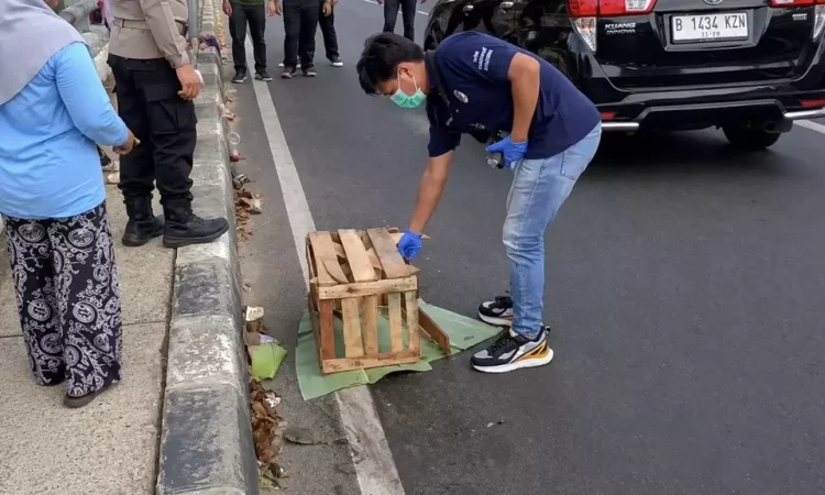 Penemuan jasad bayi