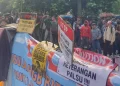 petani