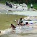 Sungai Cileungsi