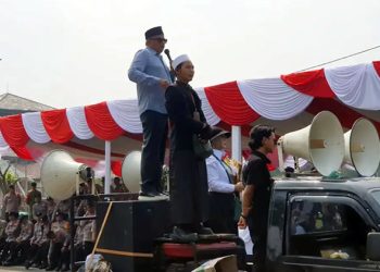 mulyadi