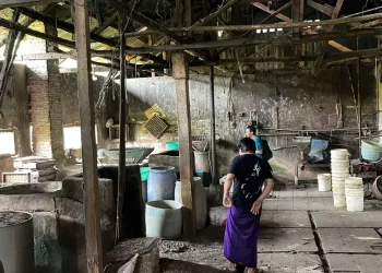pabrik tahu goreng