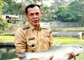 Jaro Ade Fokus Garap Sektor Strategis Perikanan Air Tawar Bogor