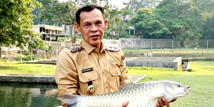 Wakil Bupati Bogor, Jaro Ade saat kunjungan ke Balai Riset Perikanan Budidaya Air Tawar dan Penyuluhan Perikanan di Cijeruk, Senin (6/7/2026).