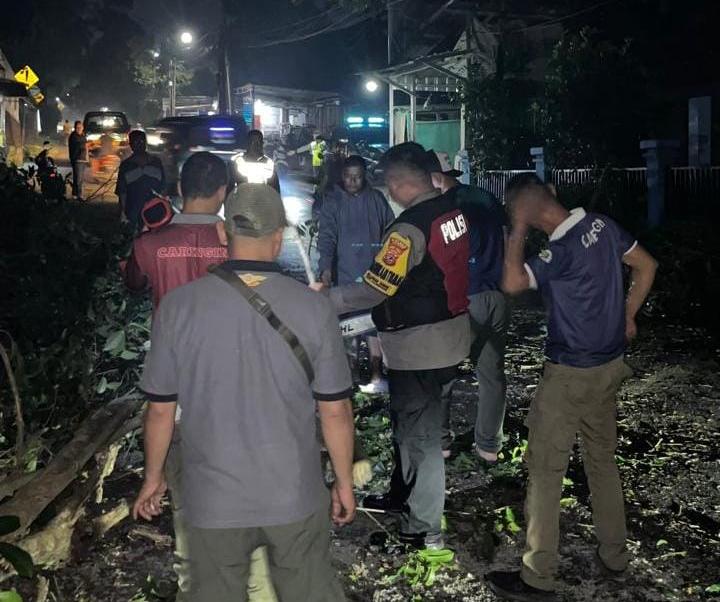 Pohon Tumbang Sempat Tutup Jalan Caringin–Maseng, Pol PP dan Warga Gerak Cepat Evakuasi